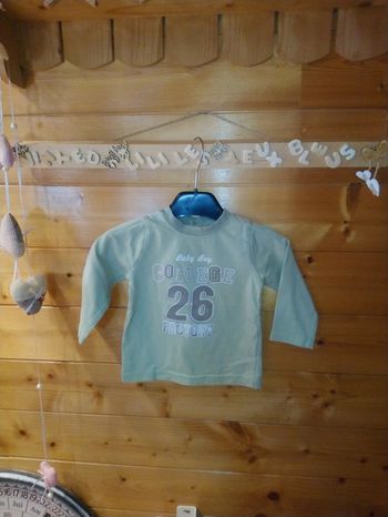 Tee shirt bébé garçon manches longues taille 12 mois