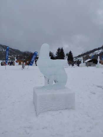 Débardeur bleu