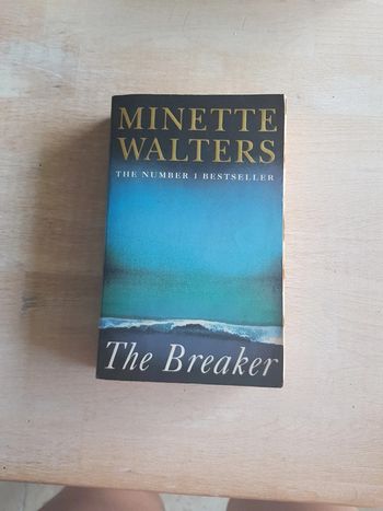 The Breaker - Minette Walters