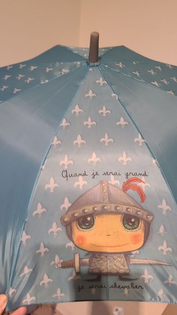 parapluie quand je serai grand je serai chevalier
