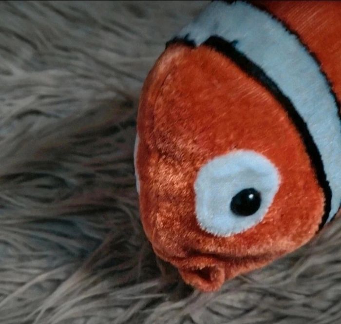 Peluche poisson clown style Némo - photo numéro 4