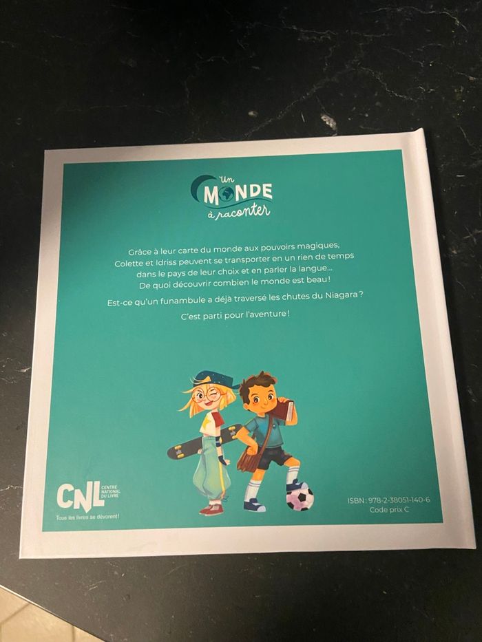 Livre disparition aux chutes du Niagara - photo numéro 2