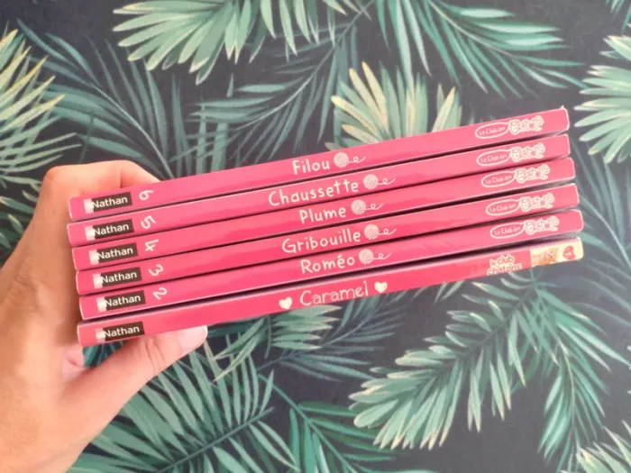 Livres enfant Le Club des chatons, tomes 1 à 6 - photo numéro 4