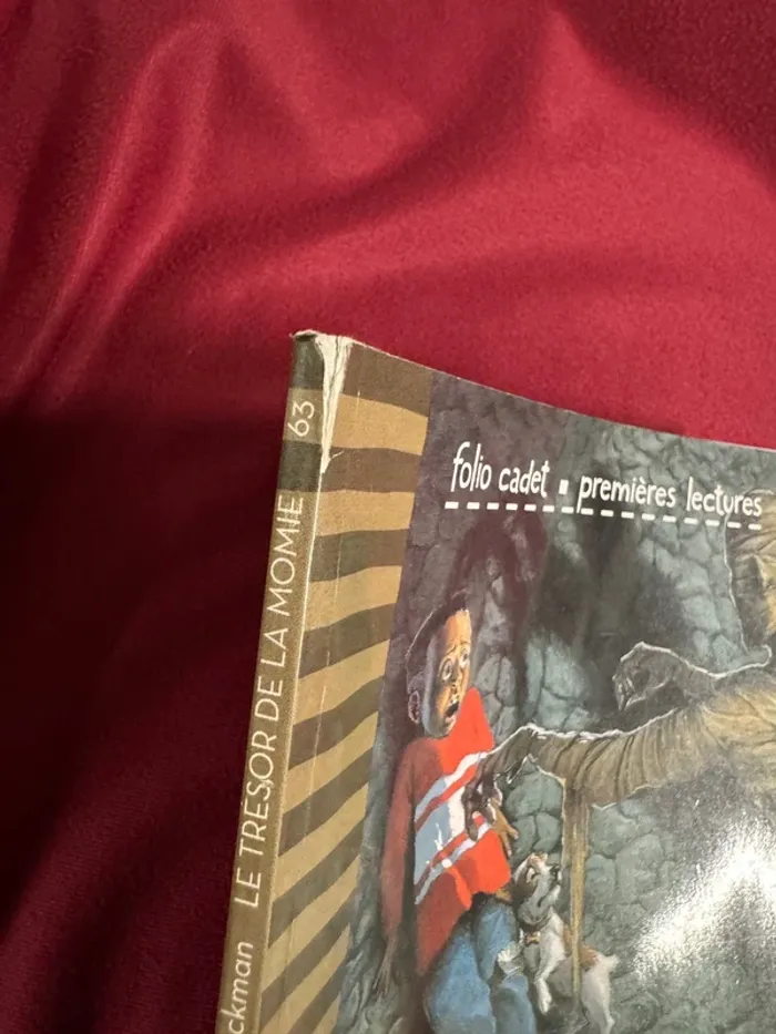 livre Le trésor de la momie - photo numéro 2