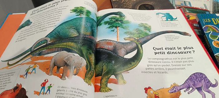 Lot de 7 livres jeunesse documentaires - photo numéro 5