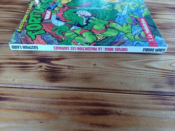 BD tortues nija 1991
