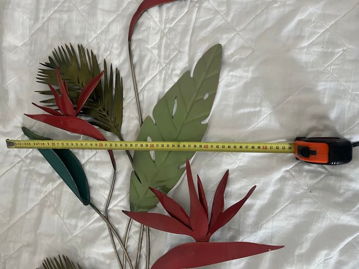 Plante décorative- oiseaux de paradis - photo numéro 10