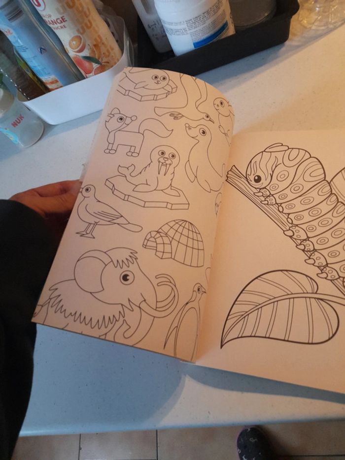 Gros livre de coloriage - photo numéro 4