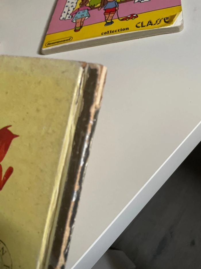 Médor et jonquille petit livre d’or 214 - photo numéro 3