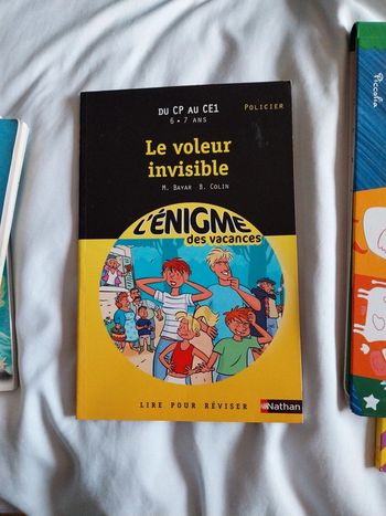 Le voleur invisible.  enigmes des vacances.   Nathan
