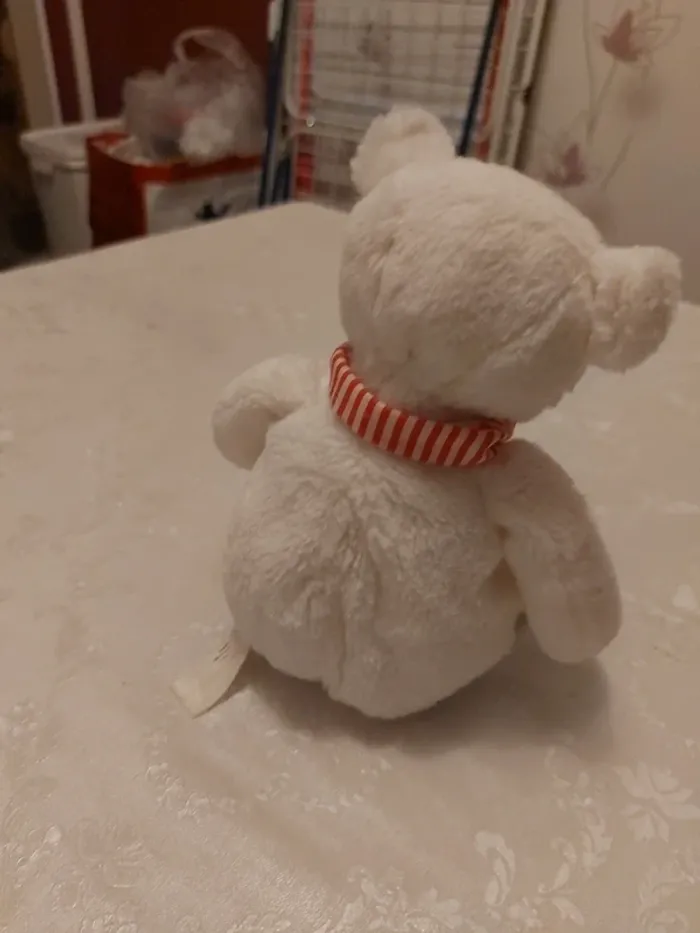 Ours en peluche - photo numéro 4
