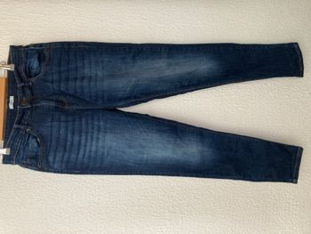 Jean Creeks Modavista