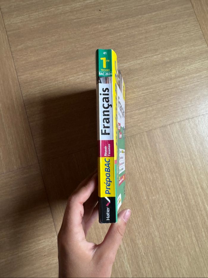 Livre bac français - photo numéro 2