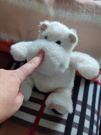 Doudou hippo histoire d'ours 