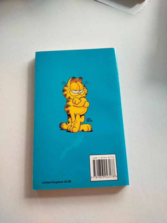 Garfield wave rebel - photo numéro 2