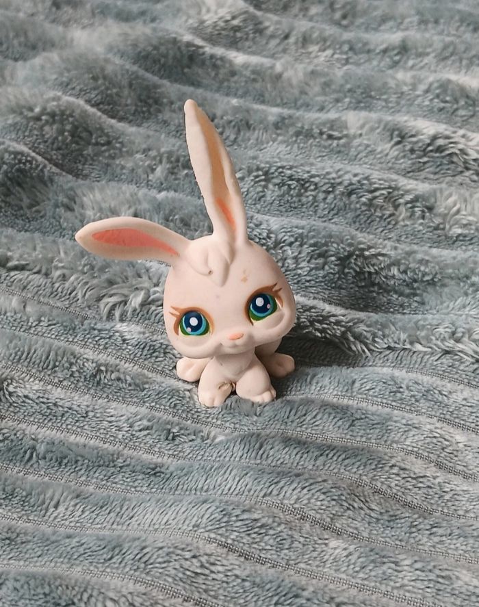 Petshop lapin 3