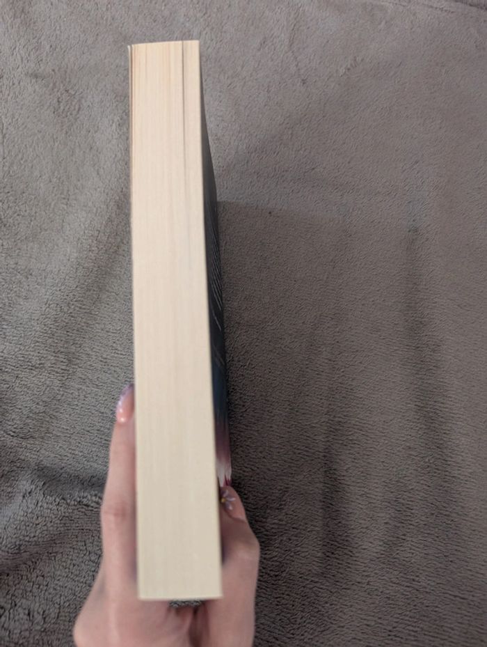 Sur le fil - photo numéro 4