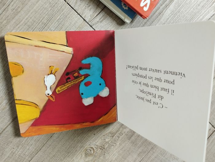 Livres d'enfants - photo numéro 10