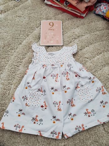 Robe DPAM