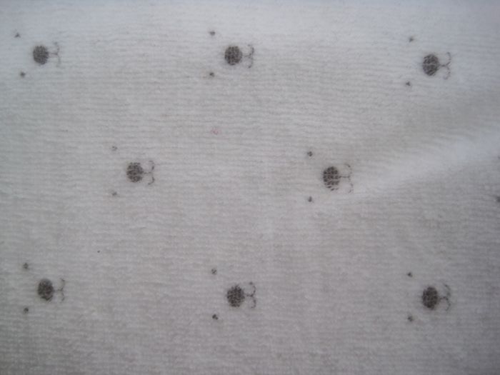 Pyjama velours 2 pièces 6 ans LH by La Halle - photo numéro 7