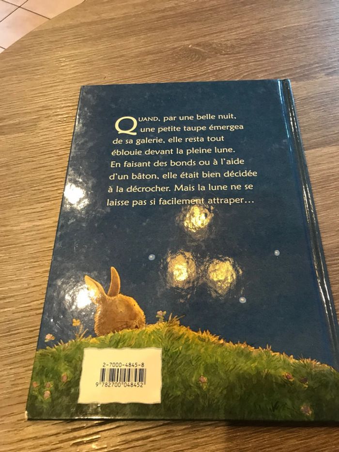 Livre une taupe au clair de lune - photo numéro 4