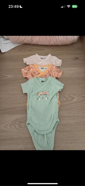Lot 3 bodies