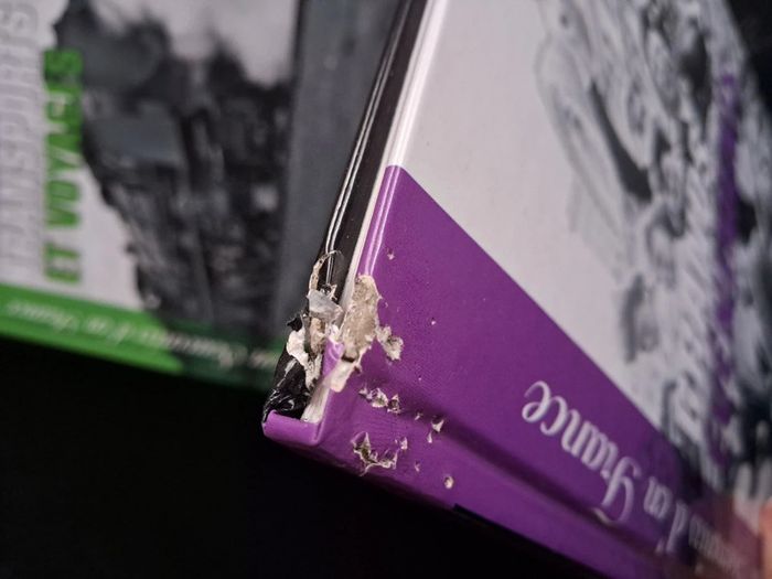 Lot livre souvenirs d'en france - photo numéro 5