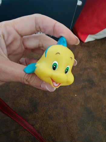 Polochon ariel