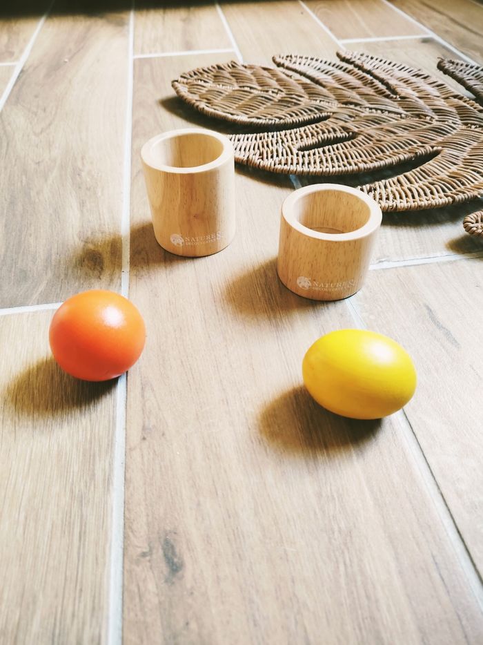 🔴Jeu d'emboîtement avec formes en bois perception dimensionnelle marque Nature et découvertes JB781