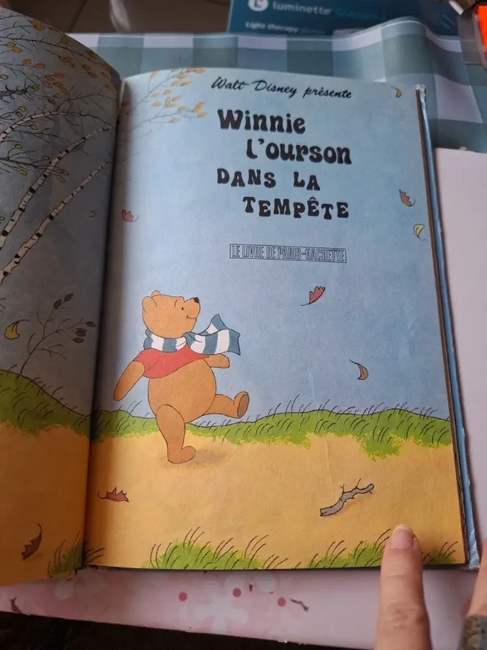 Winnie l'ourson dans la tempête - photo numéro 4