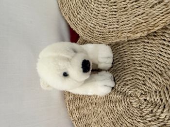National Geographic - Peluche ours polaire