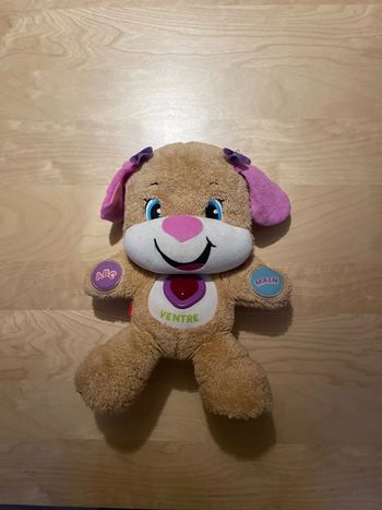 Puppy interactive
