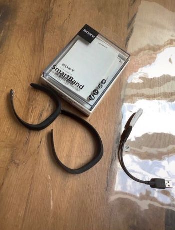 Smartband SWR10