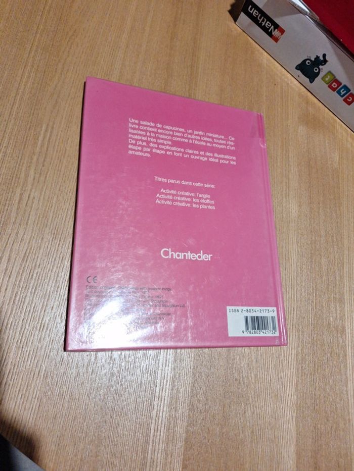 Activité créative les plantes - photo numéro 3