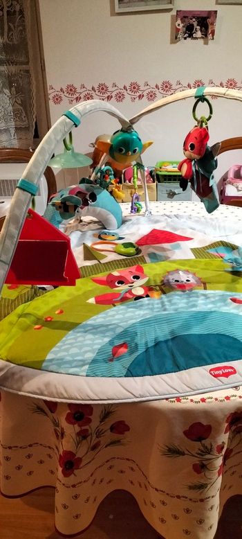 Tapis d'éveil musical avec arche 