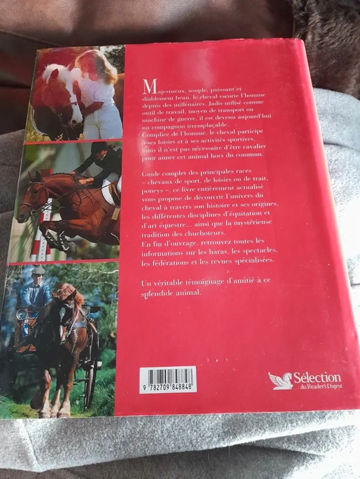 livre sur les chevaux - photo numéro 2