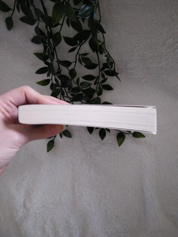 🍁A 3.5€ uniquement ce week-end 🍁 🌿Livre Ôwen et les sept cauchemars neuf🌿 - photo numéro 2