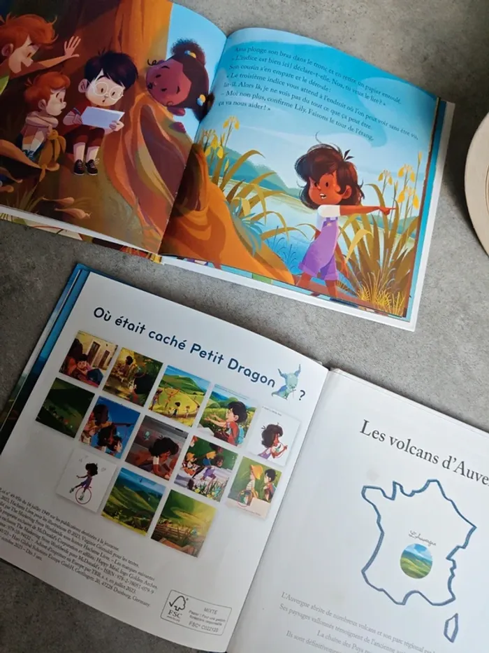 Lot de 2 livres merveilles de France virginie grimaldi - photo numéro 3