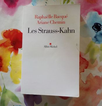 LES STRAUSS-KAHN par Raphaëlle BACQUE et Ariane CHEMIN Ed. Albin Michel