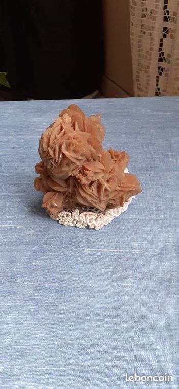 Rose des sables
