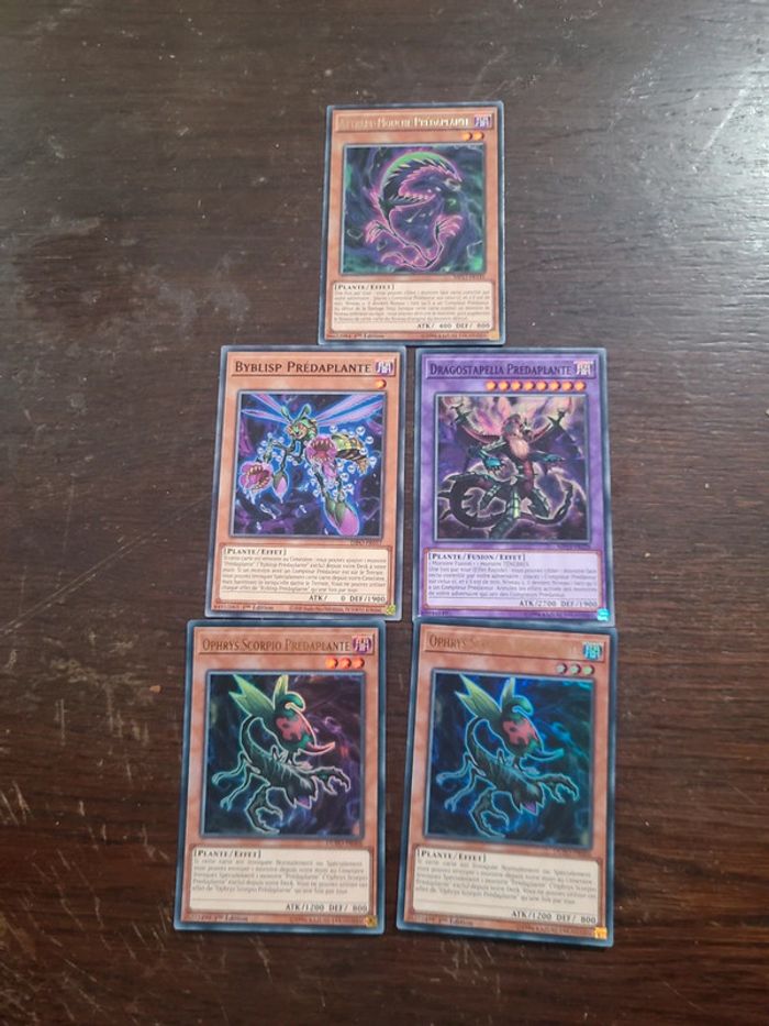 5 cartes prédaplante