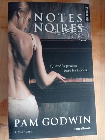 Notes noires 