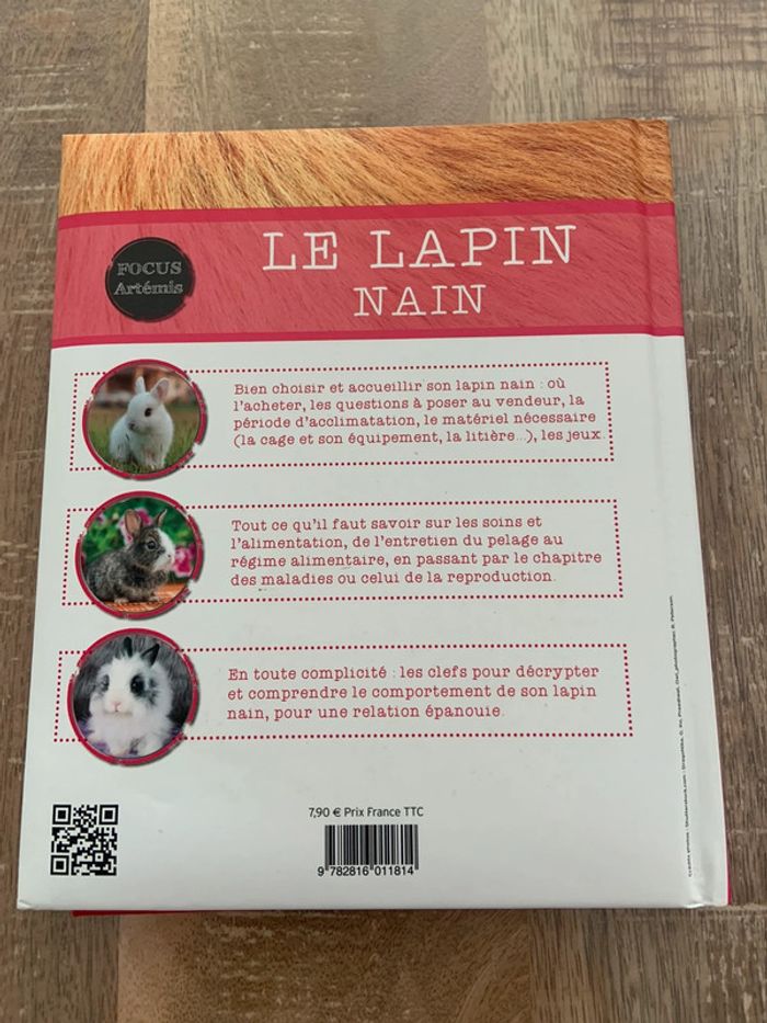 Le lapin nain - photo numéro 2