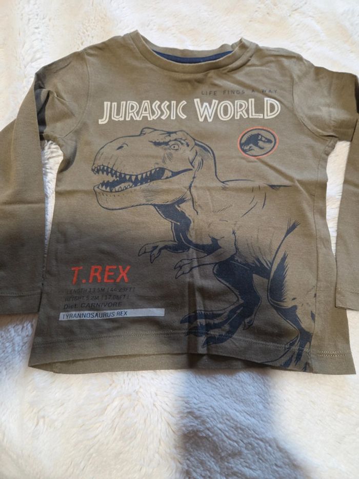 T-shirt jurassic Word manches longues  4 ans - photo numéro 2