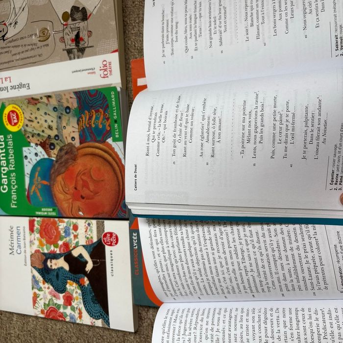 Lots de 7 livres pour le bac de français - photo numéro 5