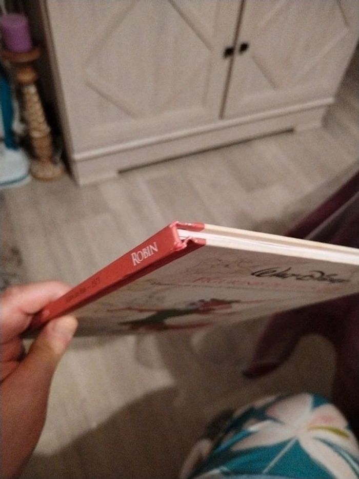 Livre Walt Disney - photo numéro 13