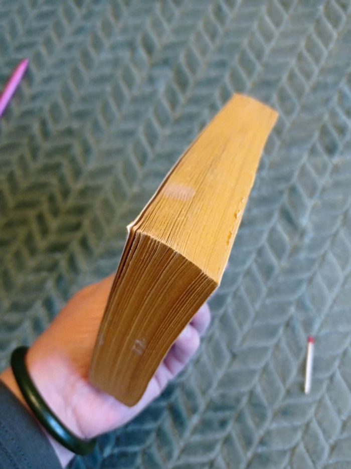 Le Rocher, P. Rey - photo numéro 4