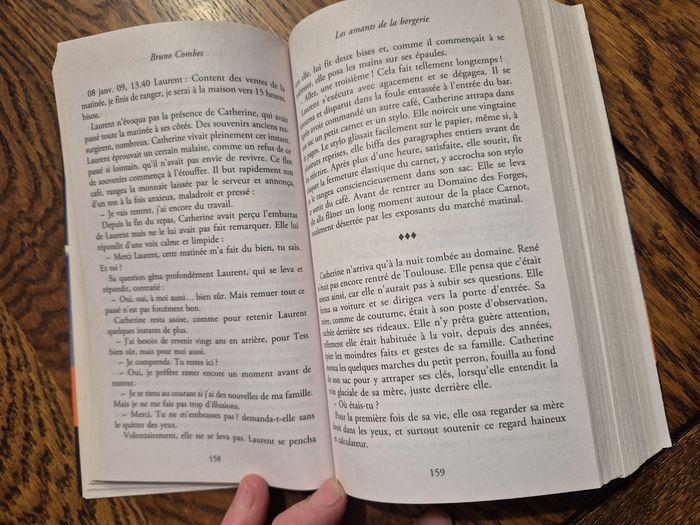 Le secret de la montagne noire (l'intégeale) de Michel Combes - photo numéro 9