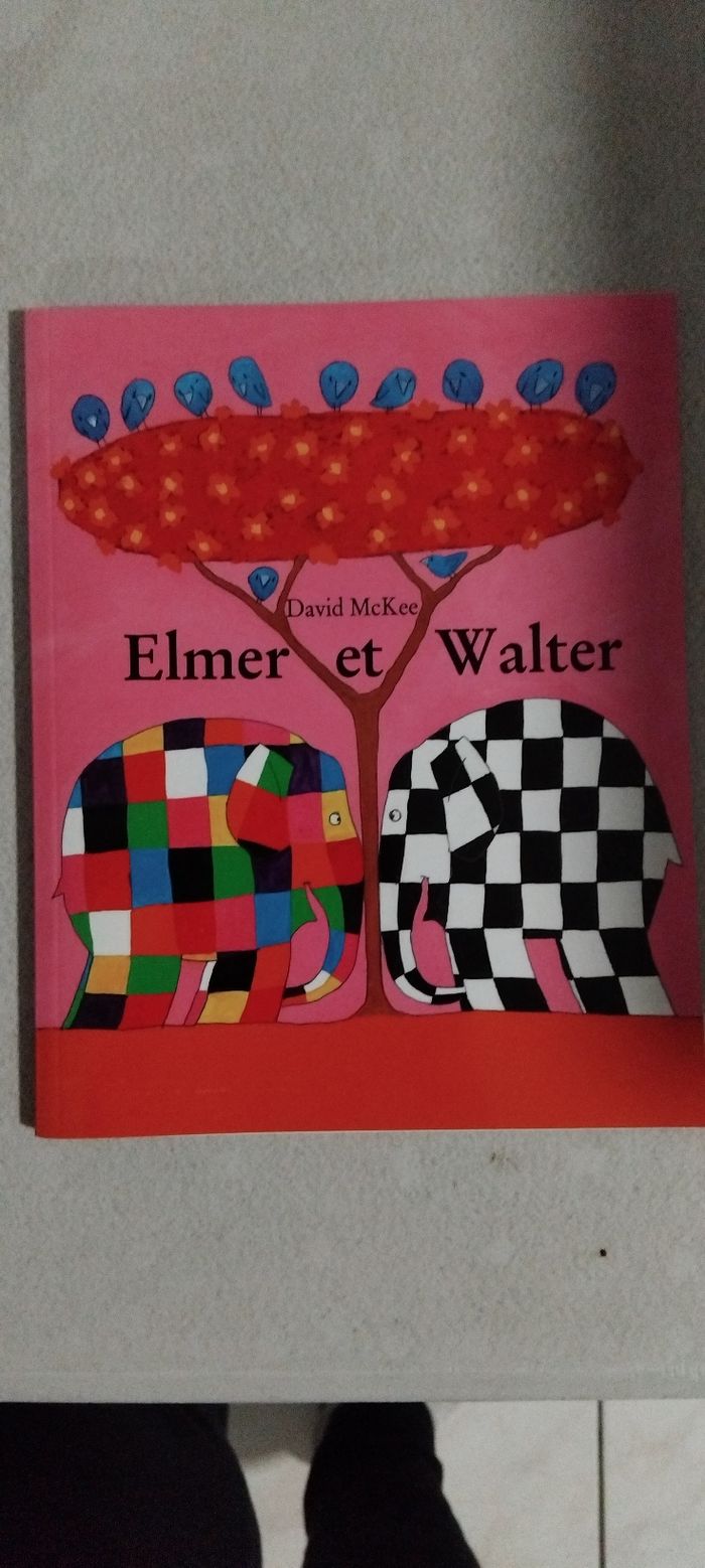 Livre enfant : Elmer et walter