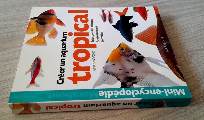 créer un aquarium tropical - photo numéro 2